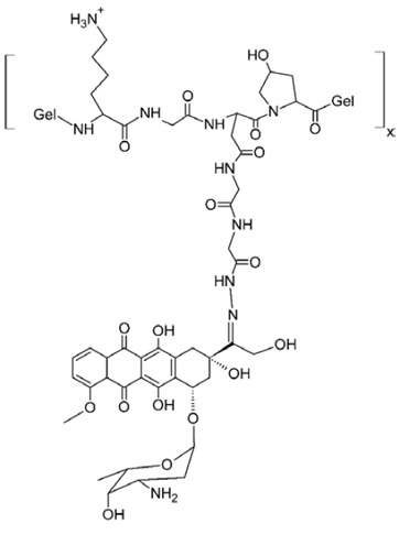 High Molecular Weight Biodegradable Gelatin Doxorubicin Conjugate Diagram